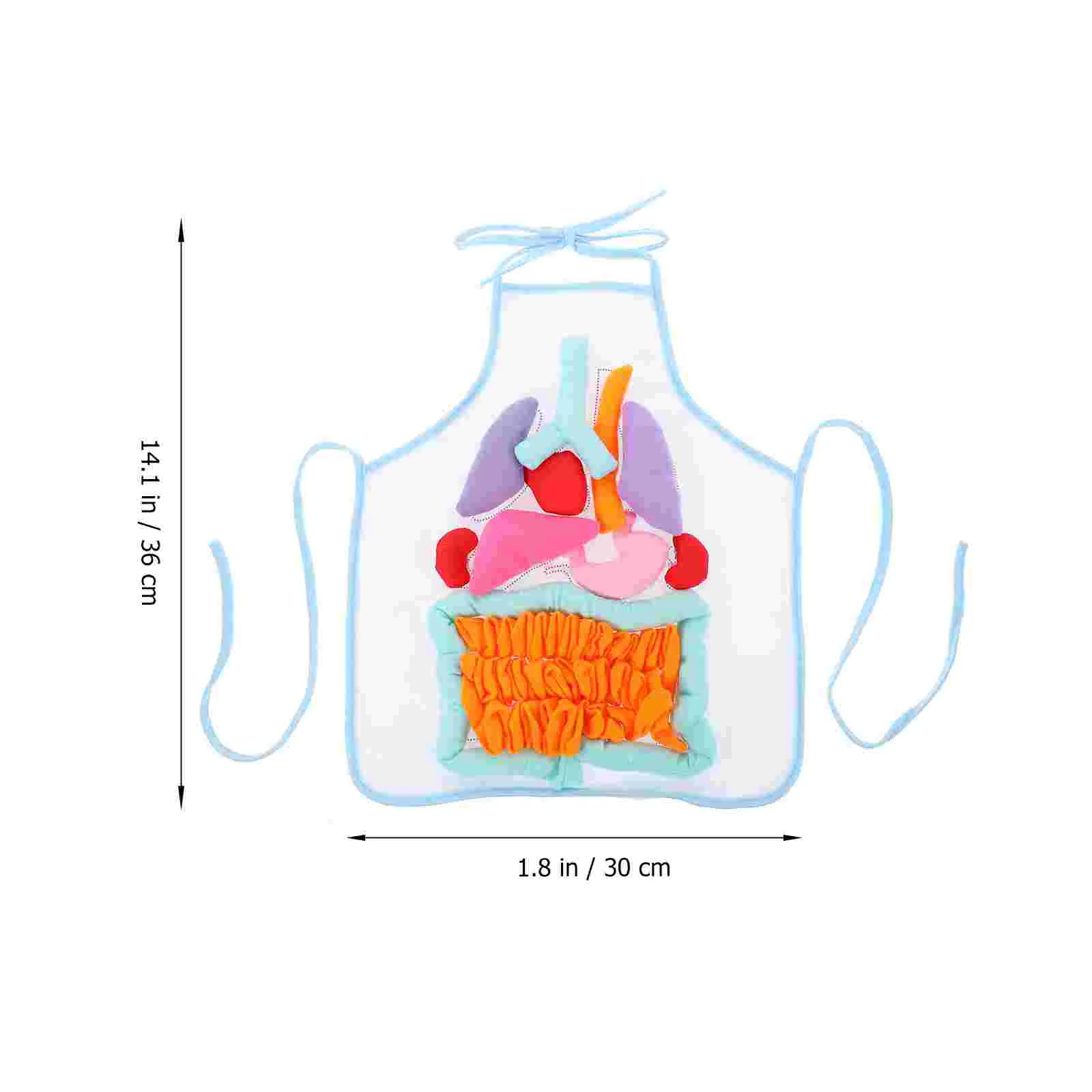 Childhood Teaching Aids Human Organs Model Children Learning Apron Body Educational