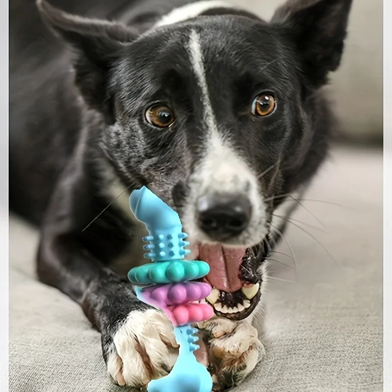 Thumbnail 2 - #44 Trending Rubber Dog Toys Right Now