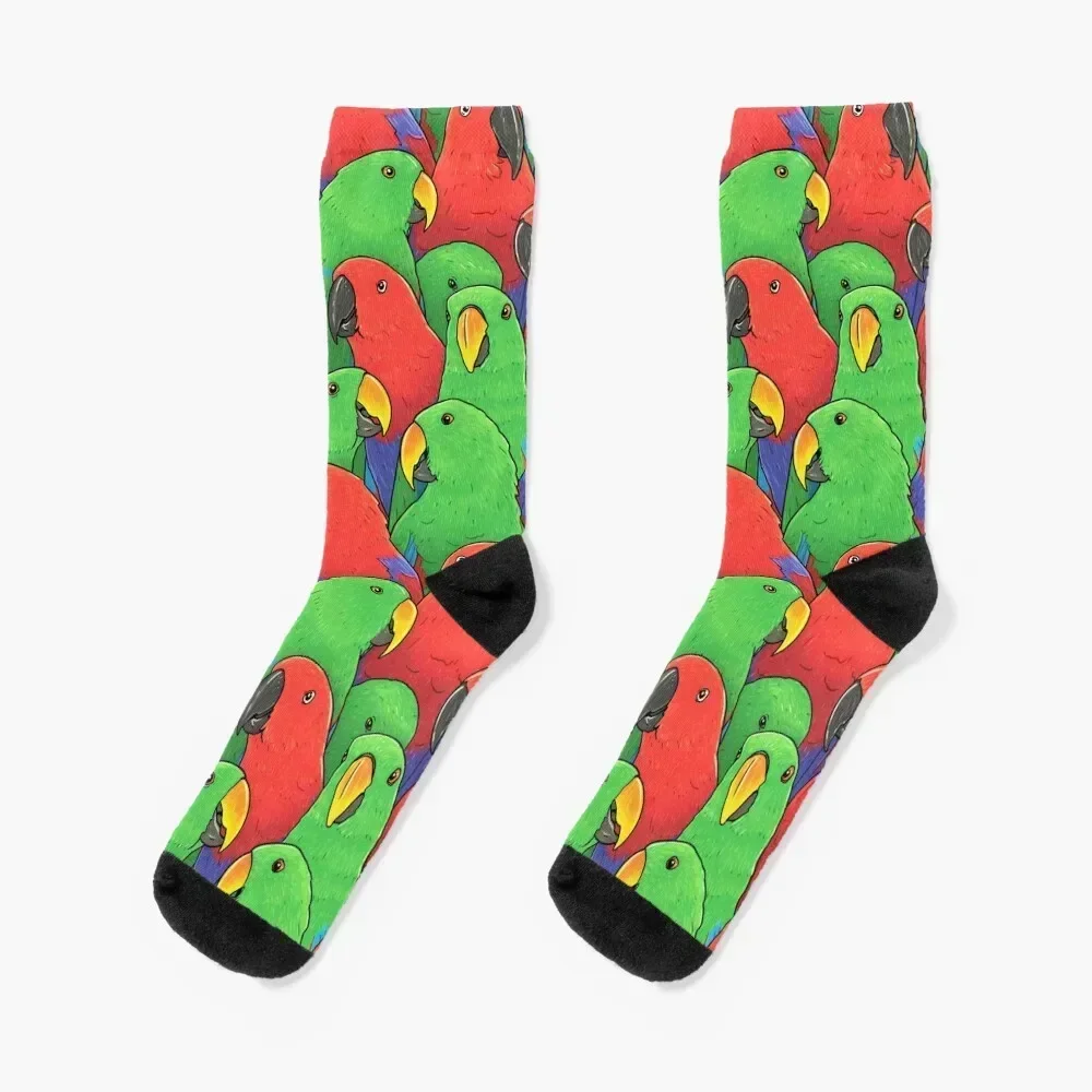 

Male and Female Eclectus Parrots Socks new in's man Lots moving stockings Men's Socks Luxury Women's