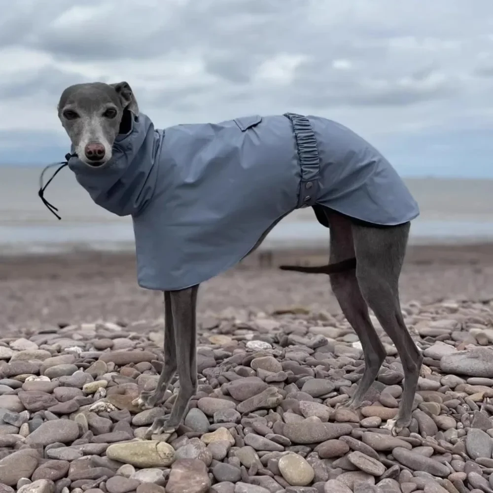 

Raincoat for Dogs Comfortable and Breathable Puppy Raincoat Waterproof Dogs Clothes Spring and Autumn Outing Pet Supplies