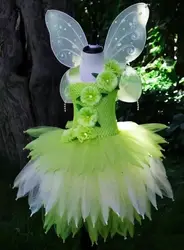 Green Woodland Fairy Dresses for Girls Jungle Forest Fairies Costumes Wood Elf Princess Ballet Tutus Outfit with Wings