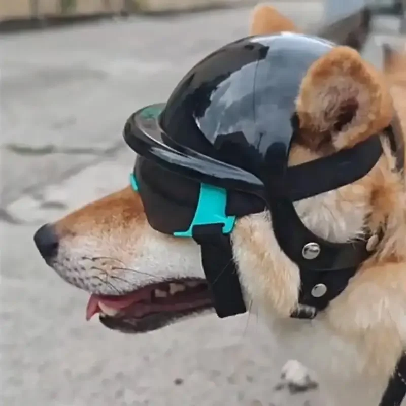 Breathable Pet Safety Gear Helmet Goggles Set with Sun Protections For Sport Enthusiasts Small Breeds Hiking Headwears 87HA
