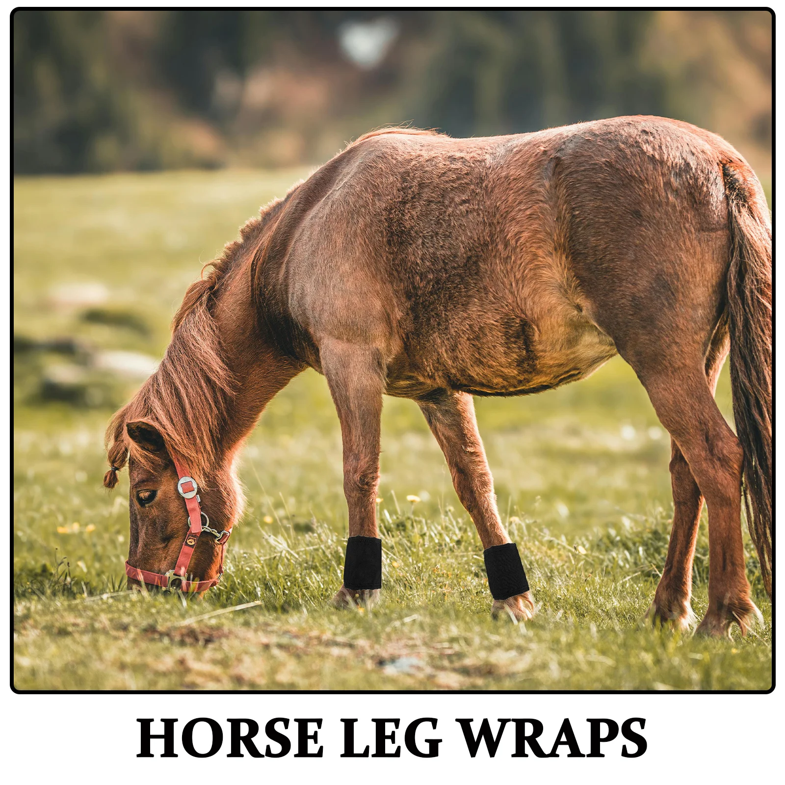 قطعتان من أغطية أرجل الحصان الواقية، مادة قابلة للتنفس شديدة التحمل، واقيات الساق سهلة التنظيف، أحذية الذبابة، مستلزمات العناية بالخيول