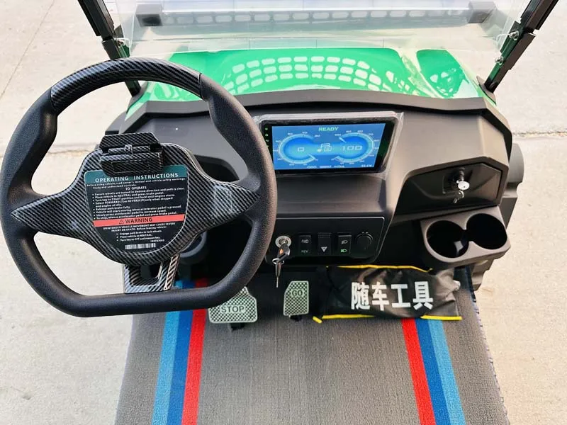 سيارات البيع المباشر من المصنع عربات الجولف الكهربائية المخصصة #6