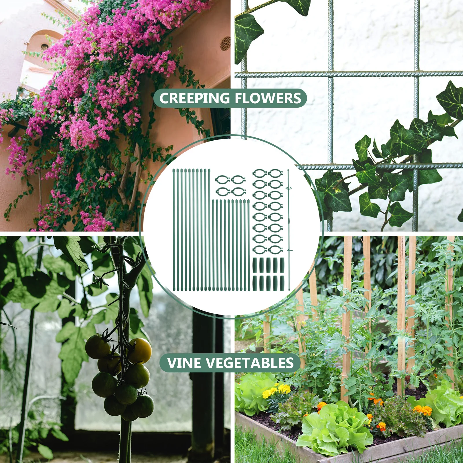 

1Set Plant Stakes Garden Plastic Clip-on Trellis Frame Stable Support for Indoor Outdoor Flower Stem Holders Stakes for Plants