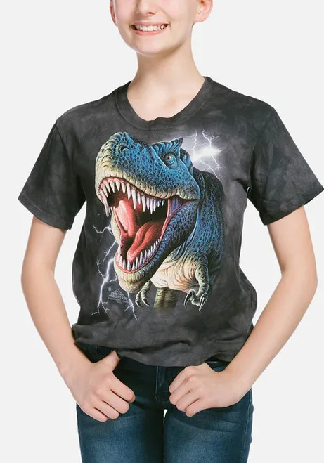 Prehistoric Fierce Dinosaur Print Boys' T-shirt Tops Summer Breathable Sports T-Shirt Street Fashion Casual T-Shirt Boy's Tops