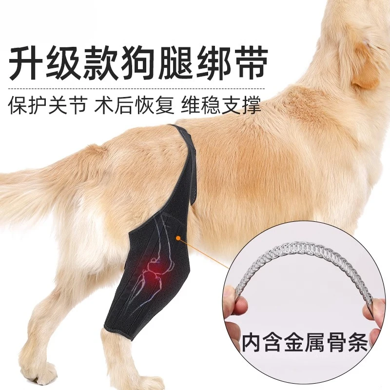 Dog leg strap Dog protects joint from walking. Leg fixing bracket auxiliary strap with dog hind leg.