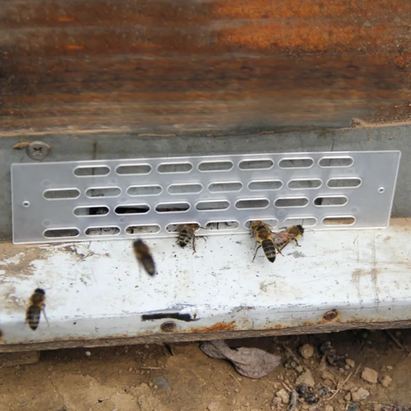 Beekeeper Anti Escape Run Fly Away Bees Queen Plastic Spacer Ward Beehive Blocker Barrier Sheet Nest Door Gate Suplies 20/40pcs