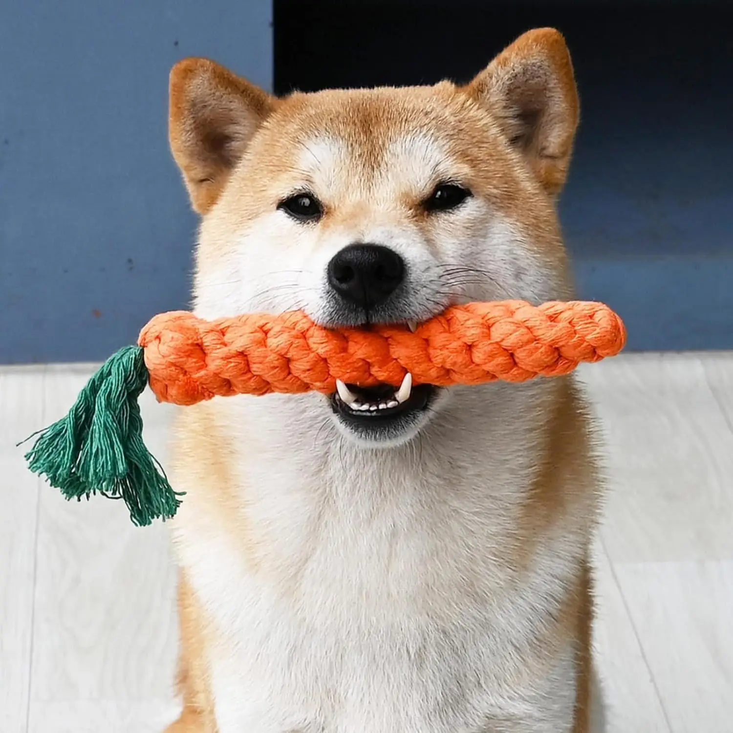 Dog Chew Toys Carrot Knot Rope  Cotton Rope Dumbbell Puppy Cleaning Teeth Chew Toy Durable Braided Bite Resistant Pet Supplies