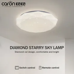 Modern LED Ceiling Light Creative Decoration Starry Sky Decorative Light Living Room Bedroom Dining Room Indoor Home Light