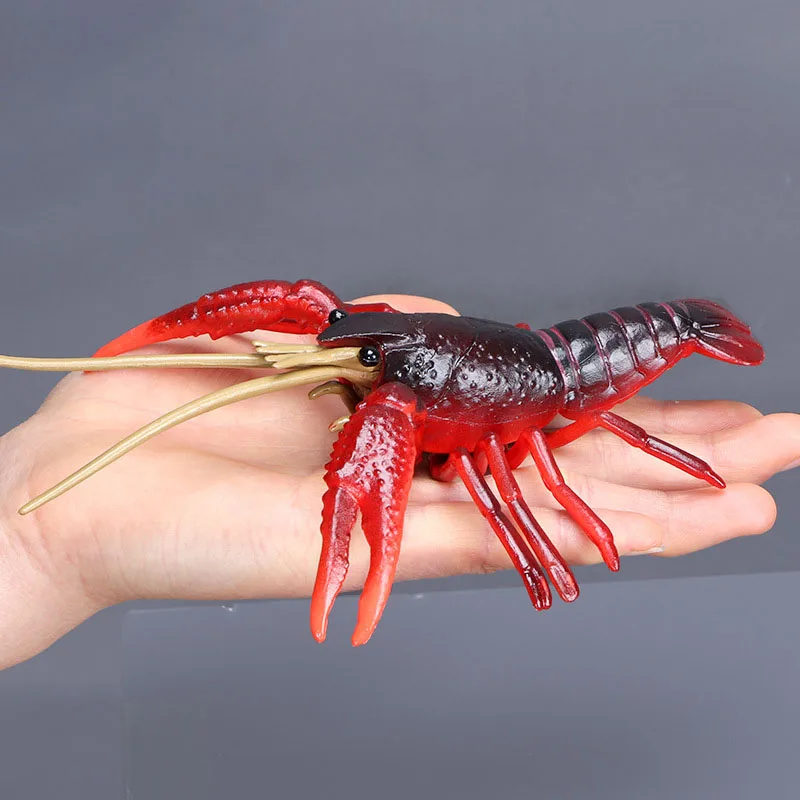 NEW Realistic Wild Animals Solid Crayfish Cub Figurines ABS Action Figures Models Collection Educational Toys for children Gift