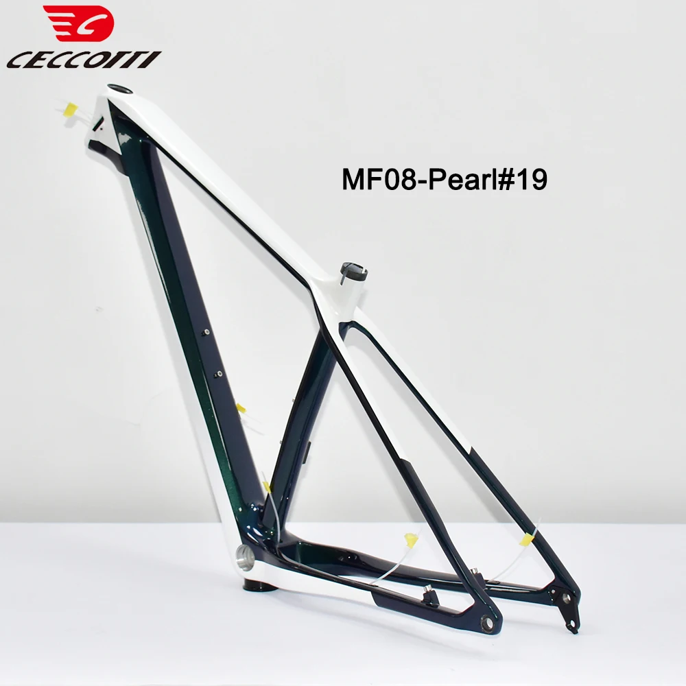 29er Carbon Mountain Bike Frame, 29er MTB Frame, Newest Design 2024 Carbon Frame