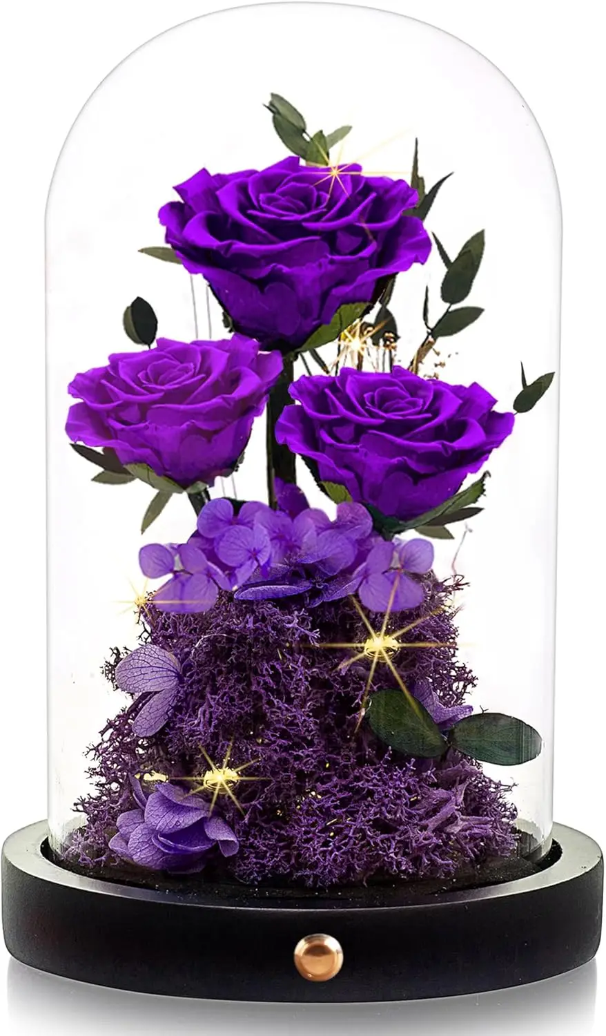 Rosa eterna conservada en cúpula de cristal, regalo de flores reales moradas para mujer, mamá, esposa en cumpleaños, aniversario de Navidad