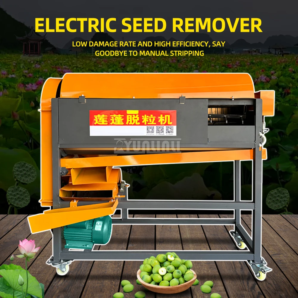 1000kg/h 2.2kw 220v Electric Lotus Seed Dehulling Machine, Lotus Seed Separator, Thresher, Lotus Seed Dehulling Tool