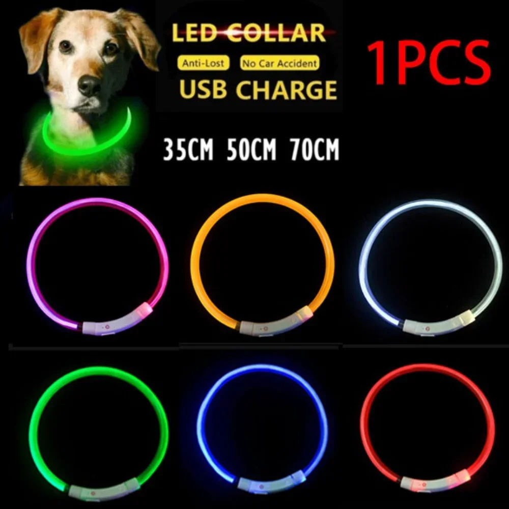 Delysia King illuminated  Dog Collar