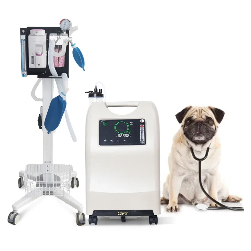 Olive Good Quality Medical Veterinary Instrument Portable Machine Vet Equipments With Oxygen Concentrator