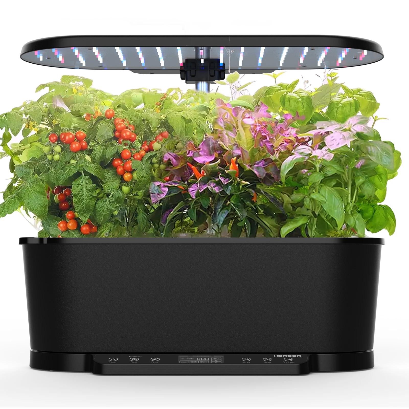 Zestaw do hydroponiki domowej  – Smart Pod Garden recenzja i cena