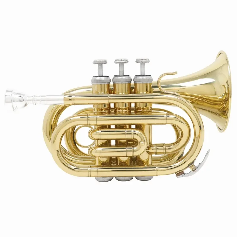 Nieuw Palmnummer In B Platte Messing Pocket Trompet Beginners Testpijp Cornet