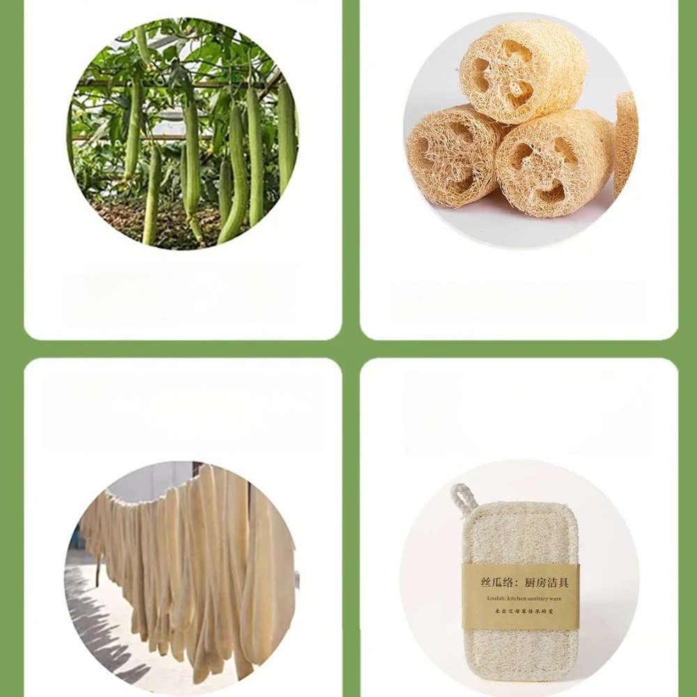 3 Buah Spons Pencuci Piring Alami Loofah Serbaguna 100% Biodegradable Komposabel Bantalan Penggosok Pencuci Piring Tanpa Limbah