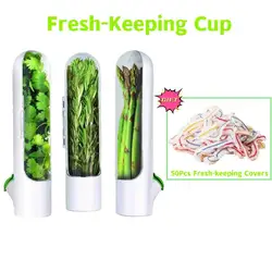 Multifunction Refrigerator Fruit Vegetable Crisper Vanilla Fresh Herb Keeper Herb Storage Container Storage Utensil Kitchen