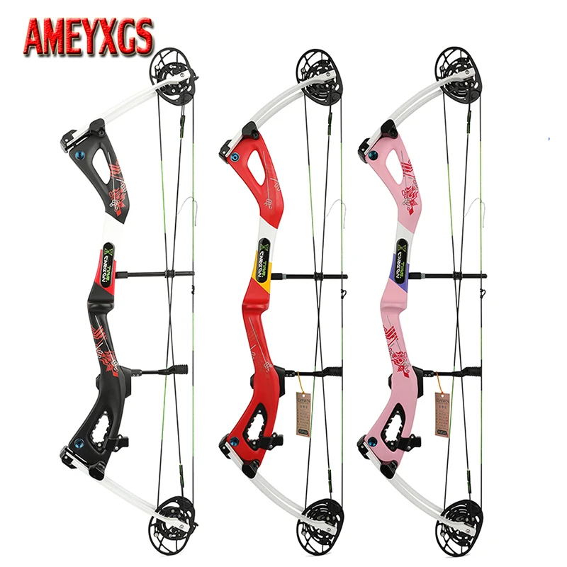 

Carbon Fiber Compound Bow Body 0-70Lbs Archery Arrow 345fps High-speed Bow CNC Aluminum Alloy Cam Right Hand Shooting Hunting