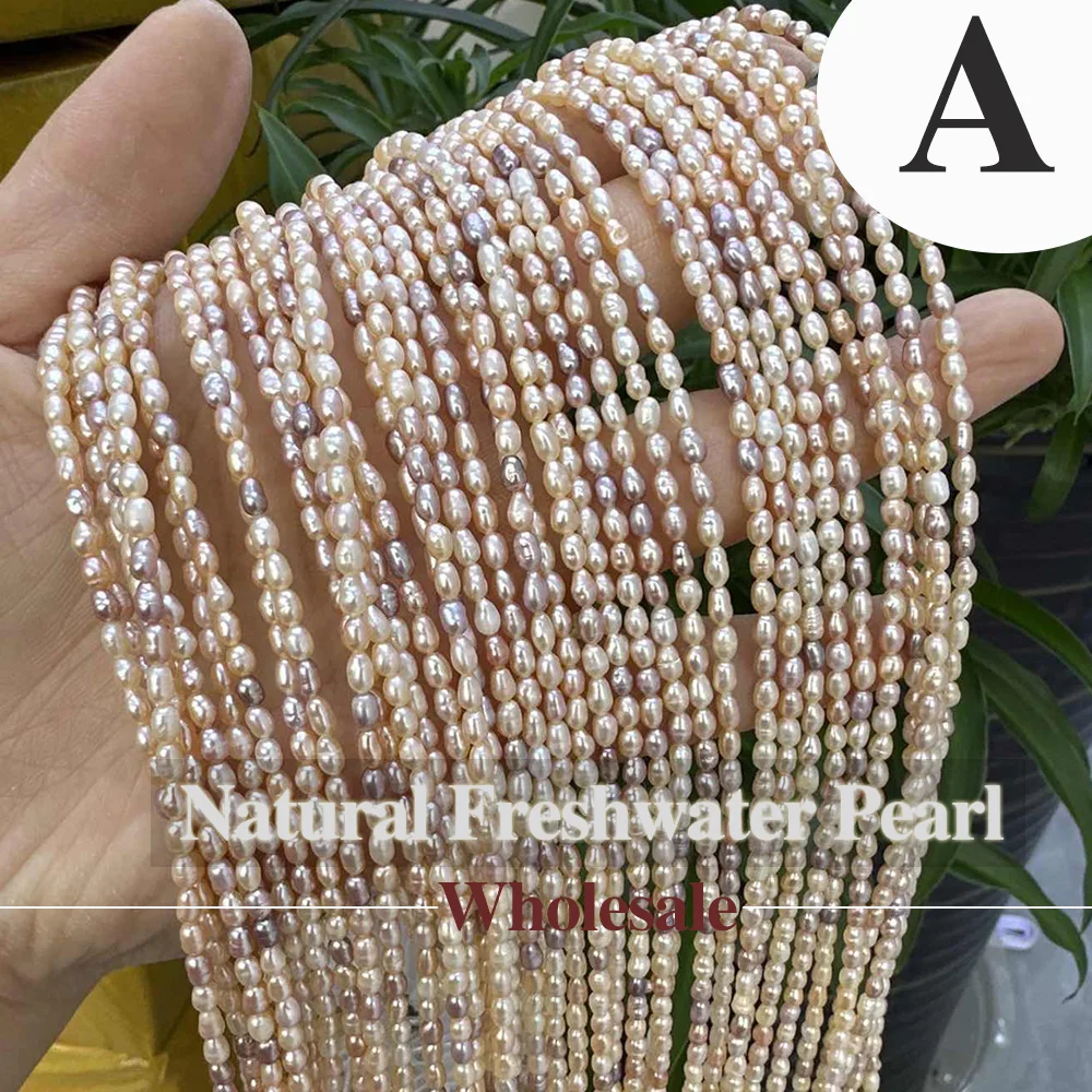2-3mm Punch Natural Freshwater Pearl Beads Rice Shape Pearl Loose Spacer Beaded for Making DIY Jewerly Necklace Bracelet 36cm