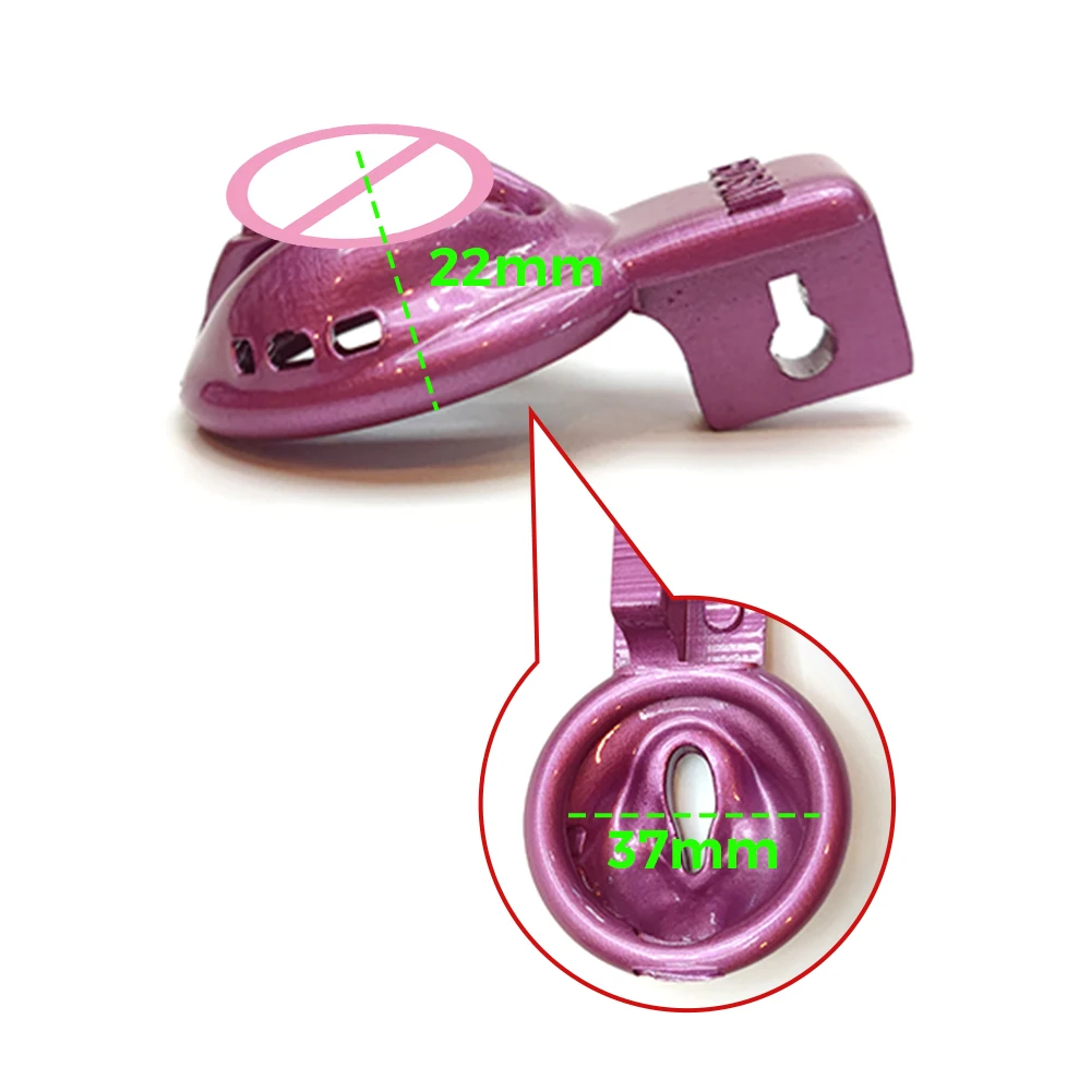 BDSM Pussy Vaginal Chastity Cage Devices Small Male Bondage Cock Cage Slave Penis Ring Sex Shop 18+ Gay Ladyboy Sex Toy for Men