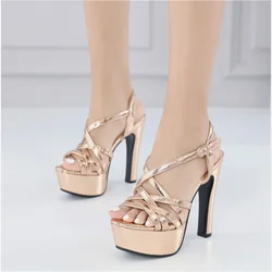 Women's Sandals Platform Party Office Pumps PU13.5CM Thin Heels Summer Buckle Strapoverlapping Buckle Strap Women Shoes Silvery