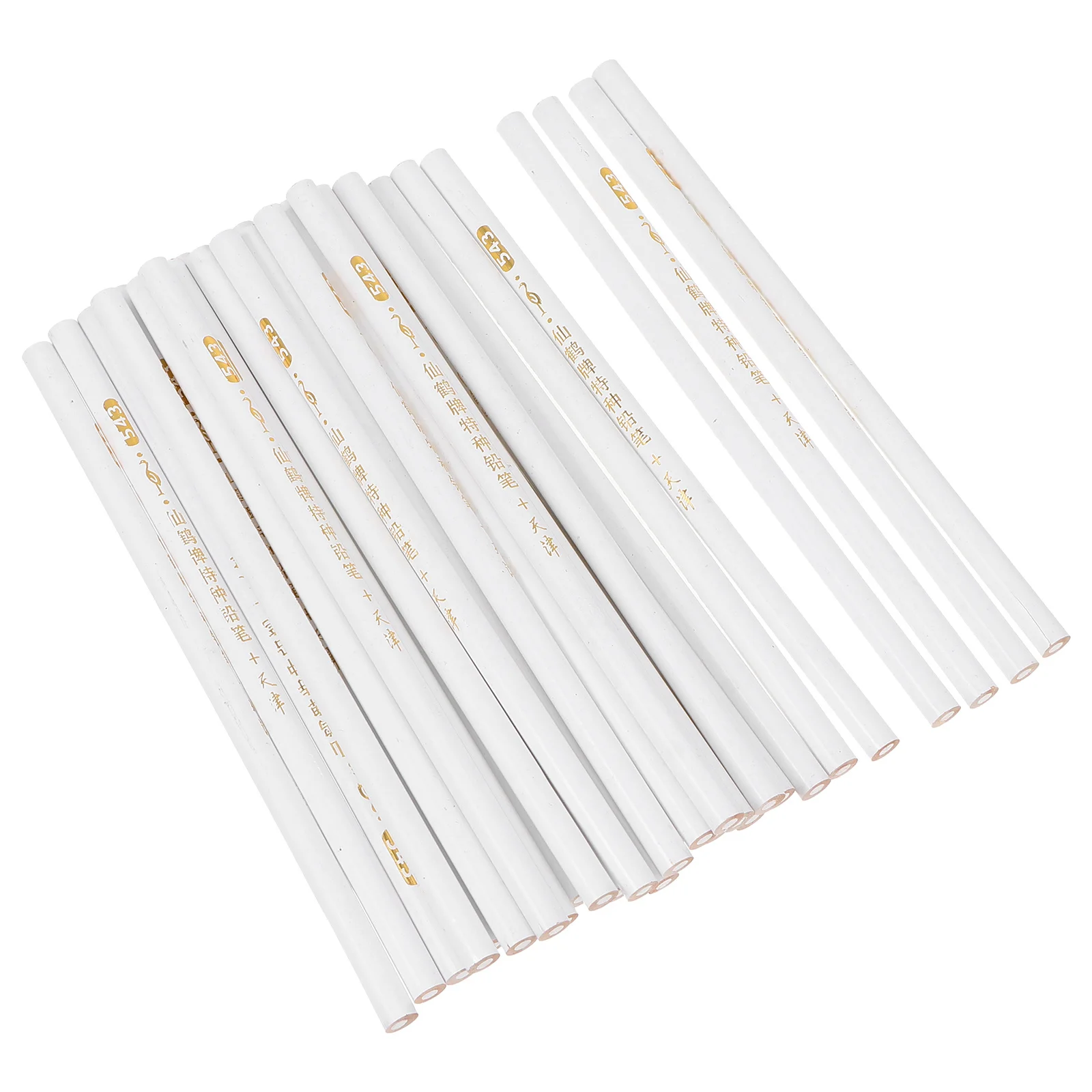 Set di penne per nail art da 30 pezzi Strumento professionale per disegno manicure Regalo artigianale per manicure fai-da-te per ragazze Strumento per nail art bianco