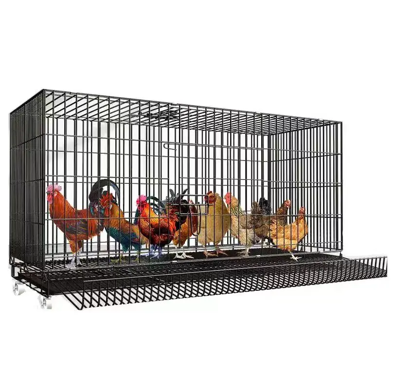 Manufacturer Wholesale Folding Metal Chicken Coop Cage New And Used Condition For Farm Use