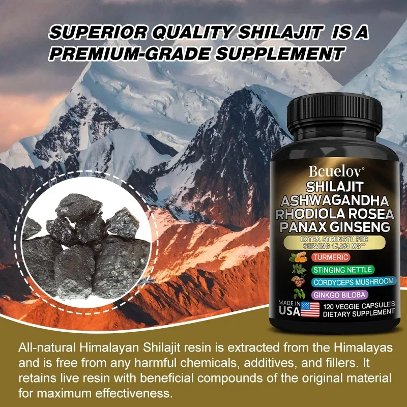 Shilajit Pure Himalaya, Energy Booster, Rhodiola, Ginseng, Turmeric, Ginkgo Biloba, Cordyceps Mushroom, Joint, Brain Support