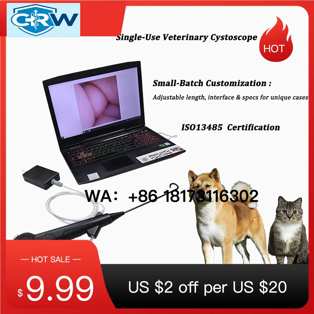 CRW Flexible Single-Use Cystoscope 400*400 Resolution Customized Working Length and Optional   Sensor Industrial Directly