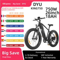 DYU KING750 Adult Electric Bike, 26 Inch, 750W 48V Lithium Battery, 20Ah