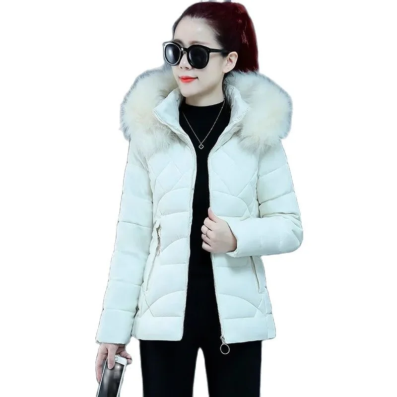 

Removable Parkas Hat Winter Padded Jacket 2023 Short Slim Fit Thickened Big Fur Collar Down Cotton Coat Women