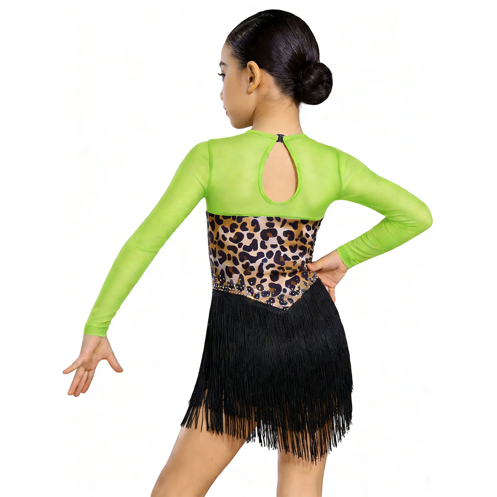 Kids Girls Leopard Print Fringe Latin Rumba Dance Costume Long Sleeve Keyhole Back Mesh Patchwork Shiny Rhinestone Tassel Dress view 2