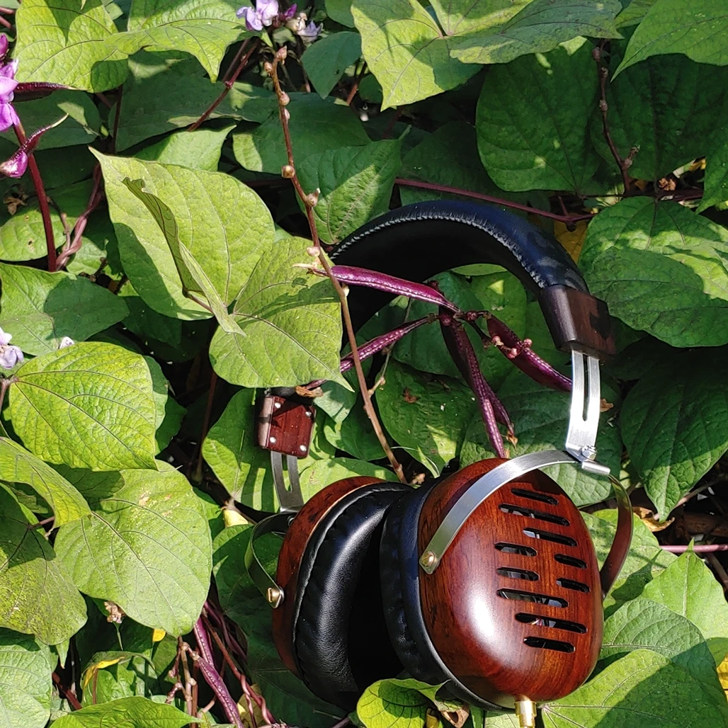 

Di wears headphones, wooden shells, all-inclusive ears