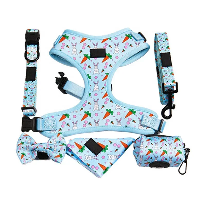 

Customize Nylon Personalized Dog Breathable Adjustable Harness Luxury Dog Harnesses Set