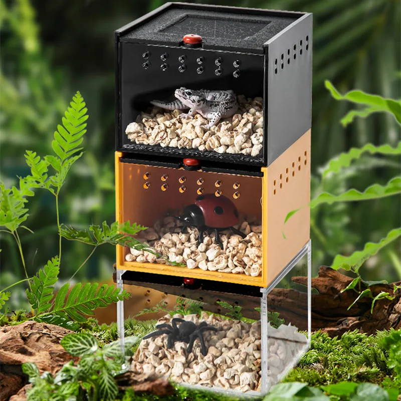 Aquarium Kleine Haustier Spinne Box Reptil Krabbeln Fütterung Box Eidechse Seidenraupe Skorpion Käfer Insekten Box Invertebiert Zubehör
