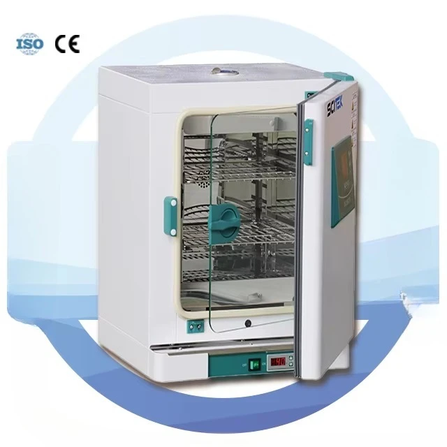 Thermostatic Laboratory Incubator Precision Temperature Control Lab Incubator for Microbiology Research and Cell Culture45L/65L