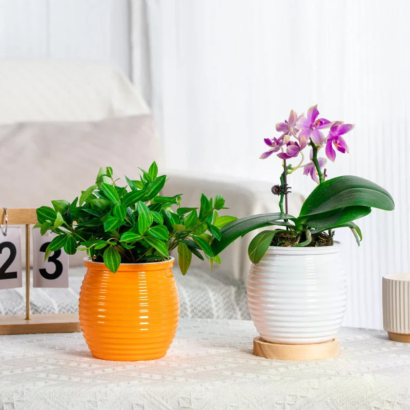 Automatic Water-Absorbing Self-Watering Plant Pots Double Layer Transparent Flower Vase Plastic Home Decorations 1PC