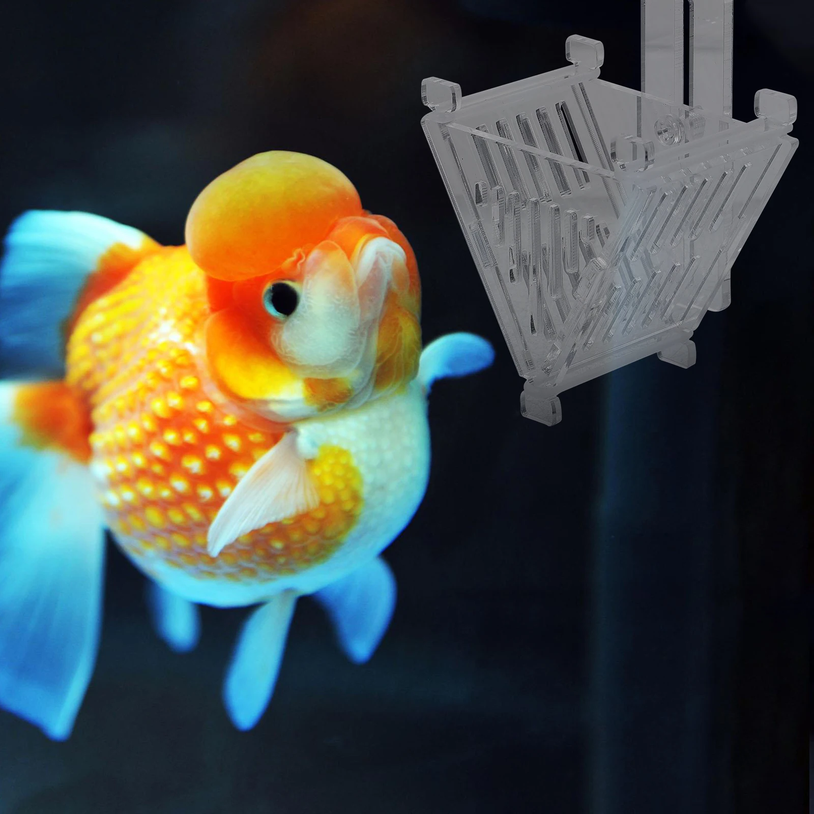 

Aquarium Feeding Cup High-Brightness Acrylic Fish Feeder For Freshwater Saltwater Tanks Small Tropical Fish Food Holder Feeding