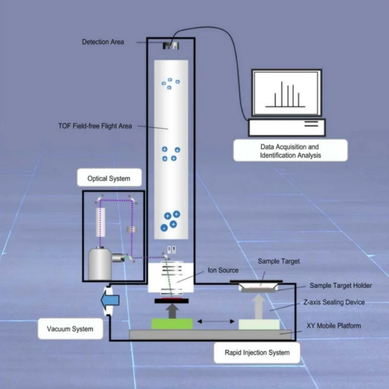 Clinical Food Drug Mass Spectrometry Equipment Automatic Microbial Mass Spectrometry Detection System