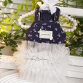 Blue White