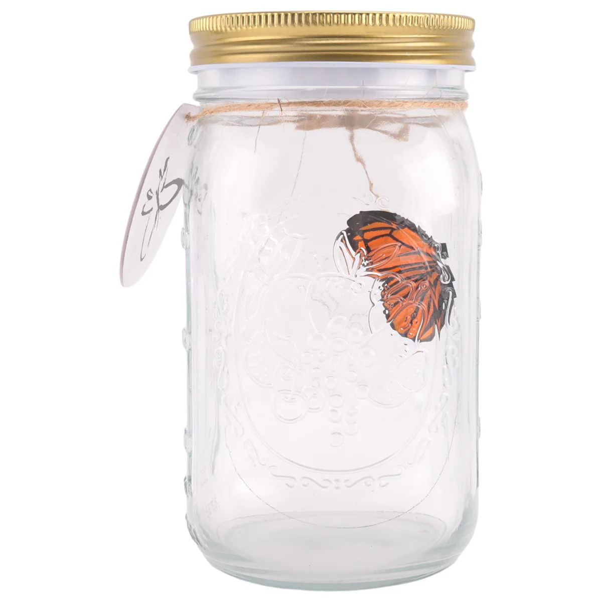 Simulation Butterfly Collection in a Jar, Butterfly Jar That Moves, LED Light Romantic Glass Animated Butterfly Orange