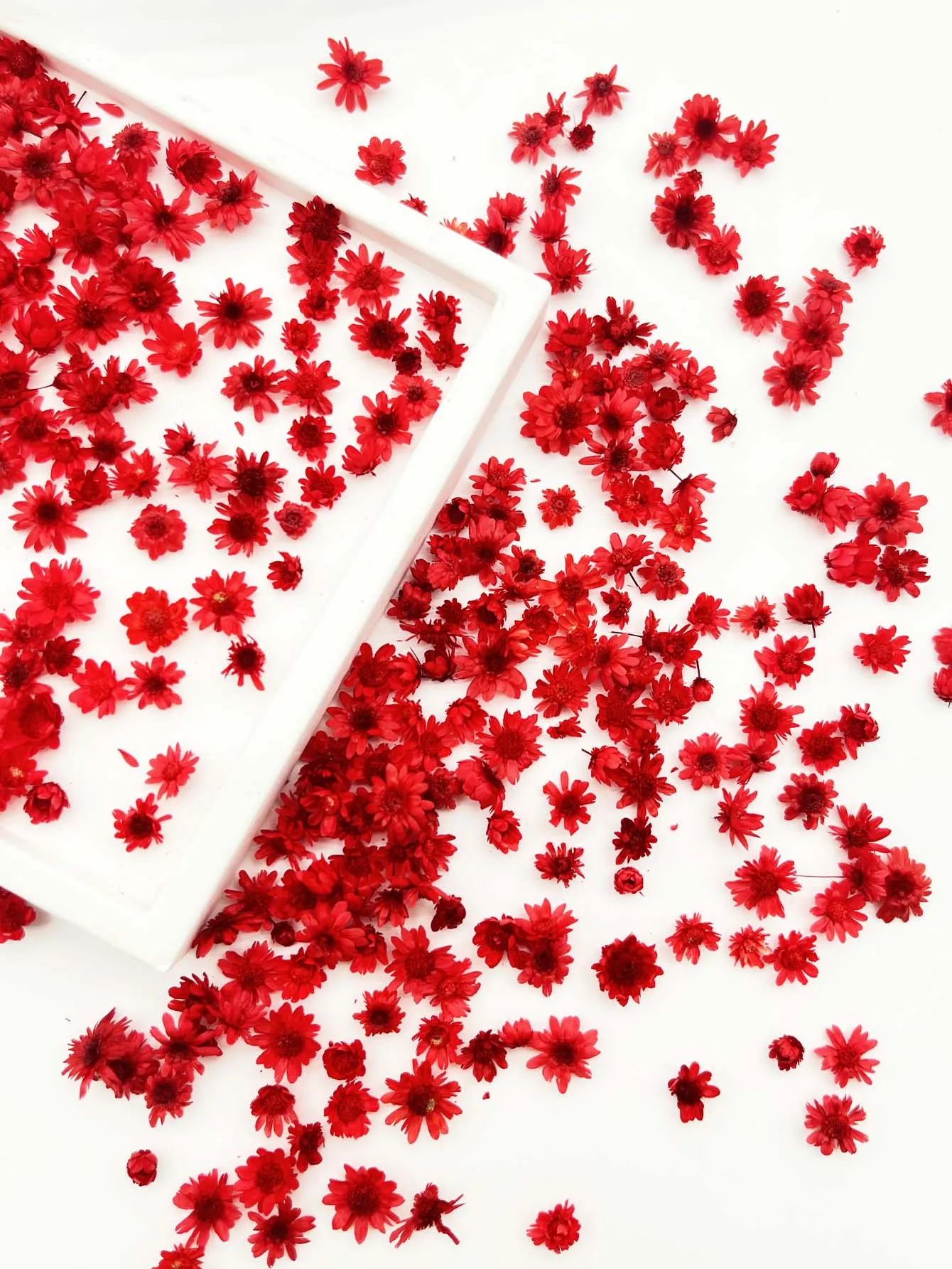 1 scatola di ciondoli per nail art con fiori finti rossi, decorazione floreale per unghie, decalcomania, accessori per smalto gel UV, parti di fiori, unghie fai da te