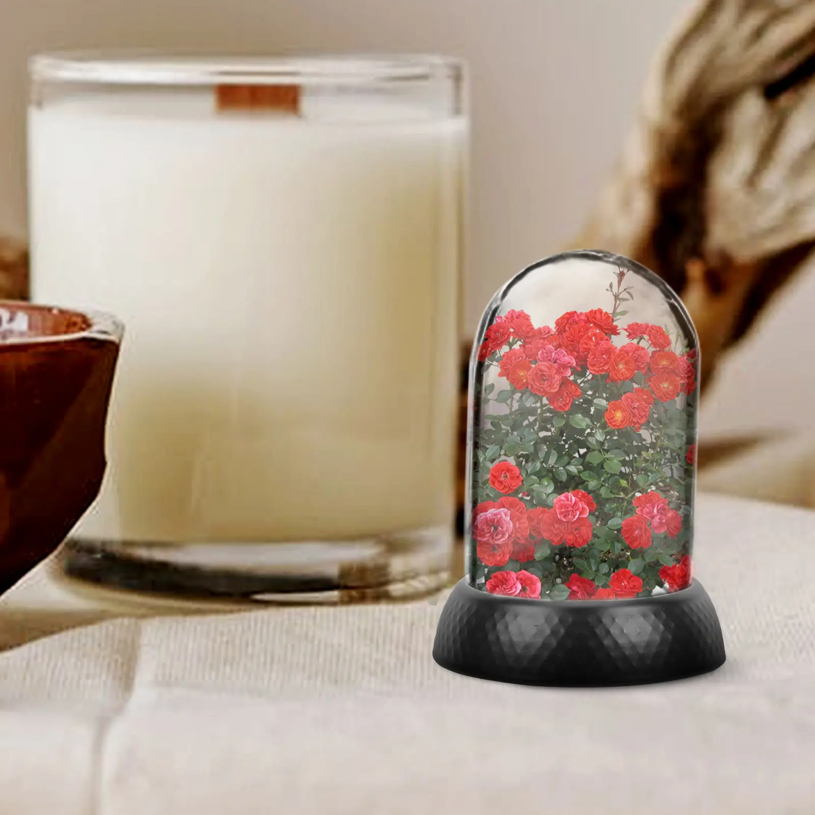 

10 шт. креативных стеклянных колб-куполов для сохранения цветов, с плоским дном, устойчивые, для подарков на День святого Валентина, для демонстрации роз, защита для цветов