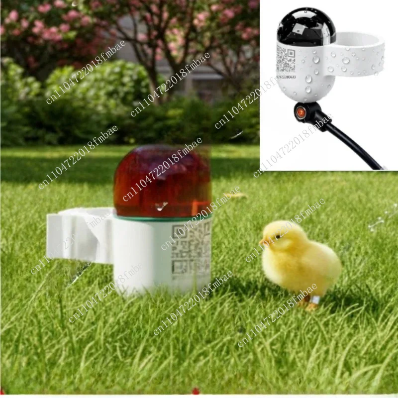 Mini Real-Time GPS Tracker Waterproof Pigeon Ring 4G Network GSM Android IOS Track Tracker, Durable Plastic LBS
