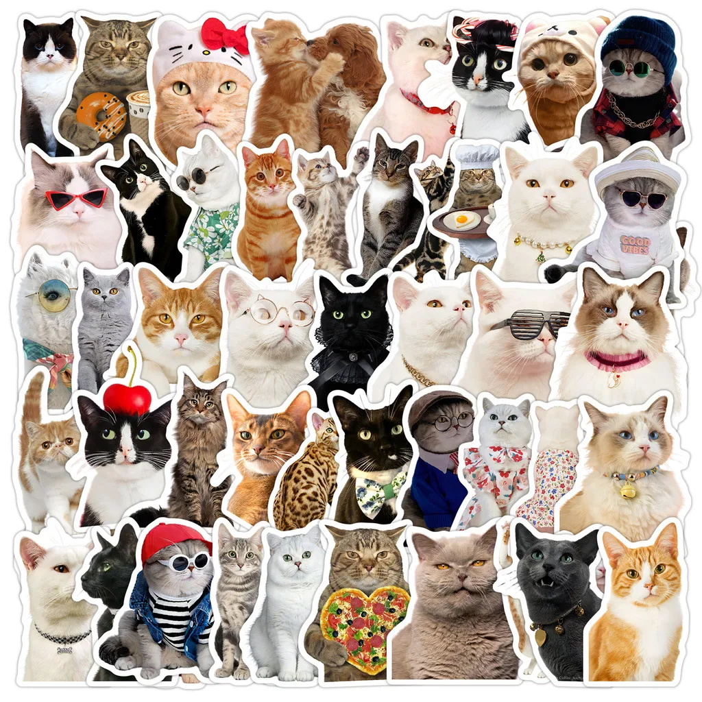 

50PCS Cat Meme Graffiti Stickers - Waterproof Decor for Water Cup & Computer, Cute Cartoon Cat Design RecordingYourLife Store