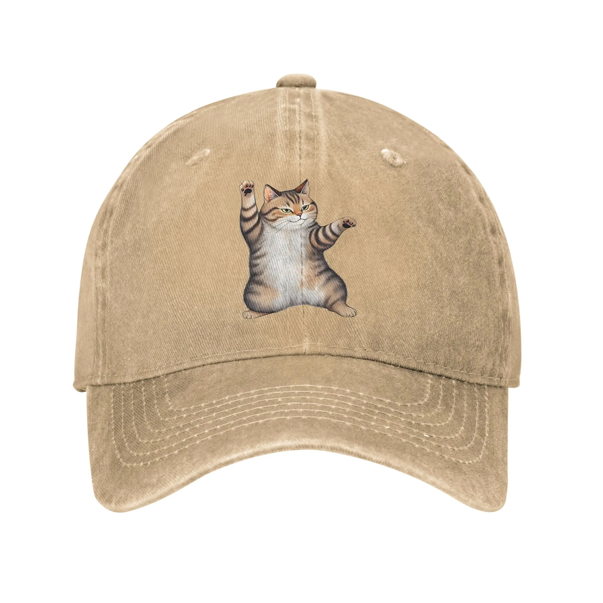 tai chi cat Cute chubby cat doing Tai Chi Washed Baseball Cap  Fashion Sun Hip Hop Hats Summer Men Women Fishing Baseball Caps