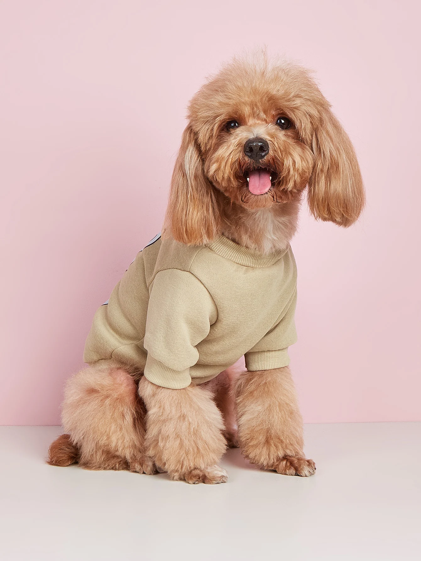 Pet clothes, dogs, cats, sweatshirts, warm and comfortable with velvet, printed clothes, simple and generous